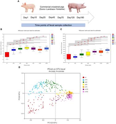 Fecal microbial and metabolic characteristics of swine from birth to market